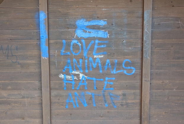 Die Wand eines Bushäuschens wurde mit "Love animals hate Antifa" beschmiert